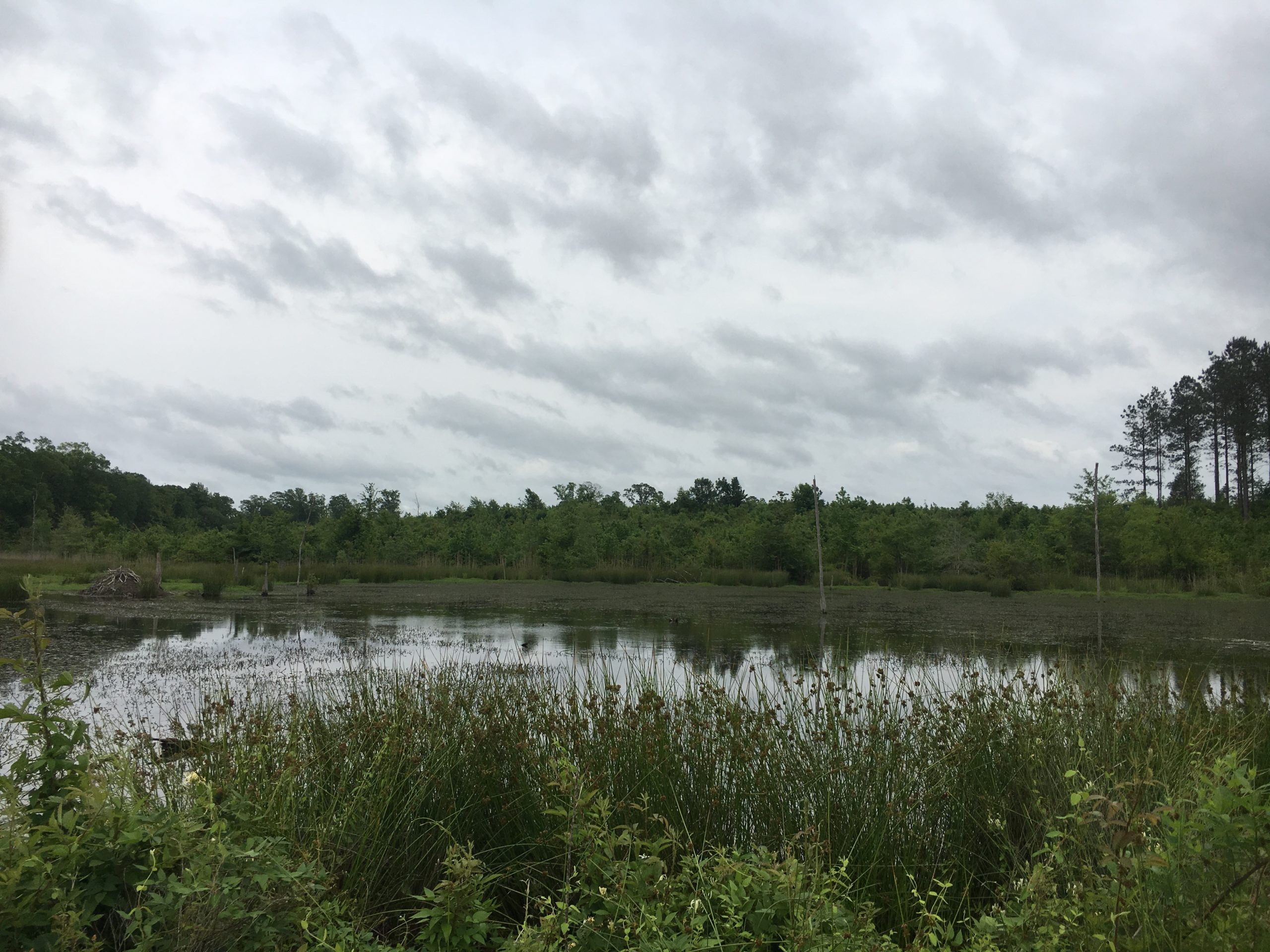 IMG-1744
